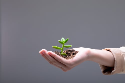 Stop Hoping, Start Growing: The Power of Intentionality